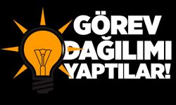 Görev dağılımı yaptılar!