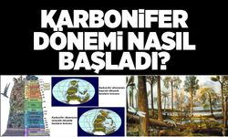 Karbonifer dönemi nasıl başladı?