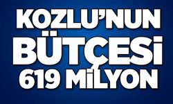 Kozlu’nun bütçesi619 Milyon