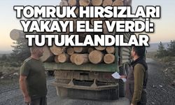 Tomruk hırsızları yakayı ele verdi: Tutuklandılar