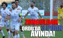 Zonguldak, Ordu’da 3 puan avında!