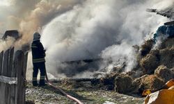 Samanlık ve ahır küle döndü: 3 büyükbaş telef oldu, 17’si kurtarıldı