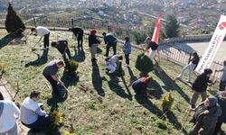 Doğa ve tabiatın başkenti Kastamonu’da şimdi de hedef lavanta turizmi