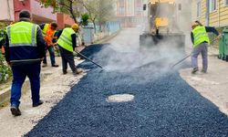 Bir yılda 711 cadde ve sokağa bakım yapıldı