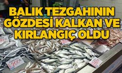 Balık tezgahının gözdesi kalkan ve kırlangıç oldu