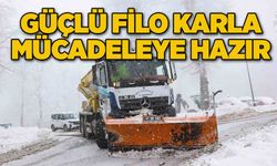 Güçlü filo karla mücadeleye hazır