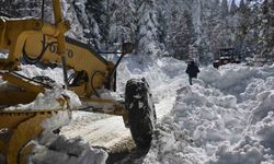 Kastamonu’da yolu kapalı köy sayısı 678’e yükseldi