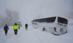 Yoldan çıkan yolcu otobüsü kara saplandı