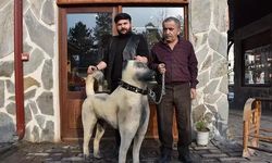 Ahşap oyma ustasından 'Kangal köpeği' heykeli