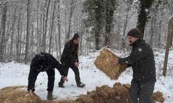 Yenice’de yaban hayvanları için doğaya yem bırakıldı