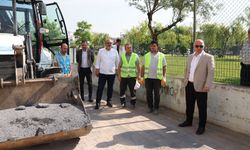 Darıca'da yaz seferberliği