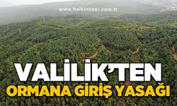 Valilik'ten ormana giriş yasağı