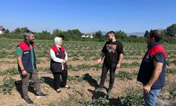 Genç çiftçiden örnek tarım uygulaması