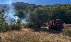 Kastamonu’da ormanlık alanda çıkan yangın büyümeden söndürüldü