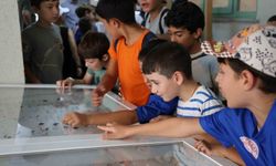 Dondurulmuş hayvan müzesine büyük ilgi