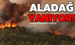 Aladağ yanıyor: Müdahale devam ediyor