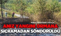 Anız yangını ormana sıçramadan söndürüldü