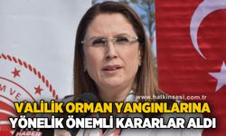 Valilik orman yangınlarına yönelik kararlar aldı