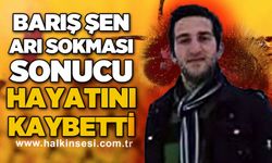 Barış Şen arı sokması sonucu hayatını kaybetti