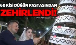 Düğün pastası 60 davetliyi hastanelik etti