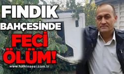 Kamyonet fındık bahçesine uçtu: Muhammet Uludağ hayatını kaybetti