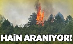 Hain aranıyor!