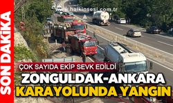 Zonguldak-Ankara kara yolunda yangın! Çok sayıda ekip sevk edildi