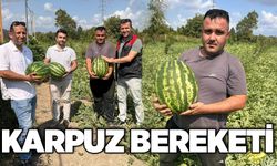 Karpuz bereketi