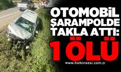 Otomobil şarampolde takla attı: 1 ölü