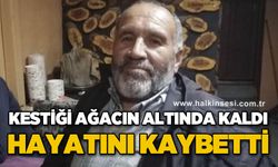 Kestiği ağaç üzerine devrilen orman işçisi hayatını kaybetti