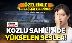 Kozlu Sahili'nde yükselen sesler: Özellikle gece saatlerinde!