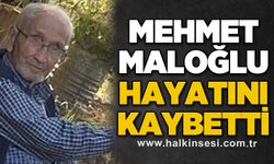 Mehmet Maloğlu hayatını kaybetti