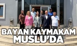 Bayan Kaymakam Muslu'da