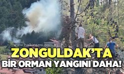 Zonguldak'ta bir orman yangını daha!