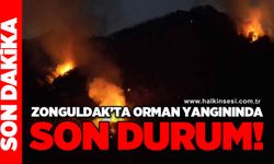 Zonguldak'ta orman yangınında son durum
