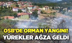 OSB içindeki ormanlık alanda çıkan yangın yürekleri ağza getirdi