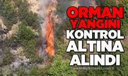 Orman yangını son anda kontrol altına alındı
