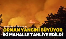 Orman yangını büyüyor:  İki mahalle tahliye edildi