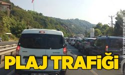 Plaj trafiği