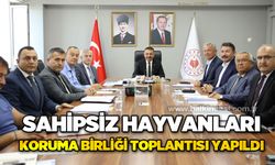 Sahipsiz Hayvanları Koruma Birliği encümen toplantısı yapıldı