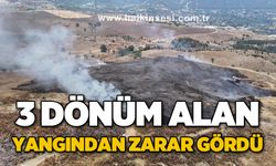 Ot yangınında 3 dönümlük alan zarar gördü