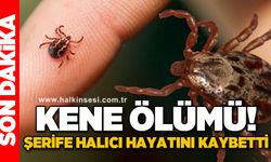 Şerife Halıcı kene ısırması sonucu hayatını kaybetti