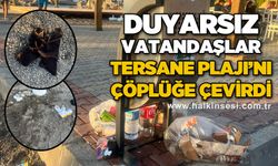 Duyarsız vatandaşlar Tersane Plajı'nı çöplüğe çevirdi