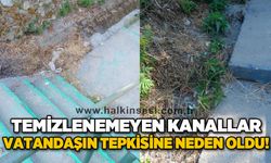 Temizlenemeyen kanallar vatandaşı çileden çıkarttı!