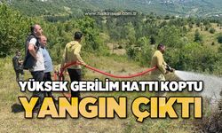 Yüksek gerilim hattı koptu: Yangın çıktı!