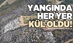 Yangında her yer kül oldu!