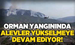 Orman yangınında alevler yükselmeye devam ediyor!