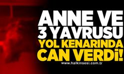 Anne ve 3 yavrusu yol kenarında can verdi!