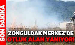 Zonguldak Merkez'de yangın: Otluk alan alevlere tutuştu