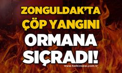 Çöp yangını ormanlık alana sıçradı!
